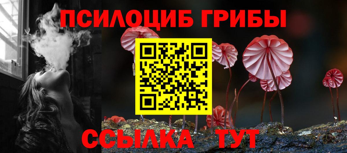 Кимры  Псилоцибиновые грибы Psilocybine cubensis  Вход с VPN  где купить наркотик  Псилоцибиновые грибы мицелий 